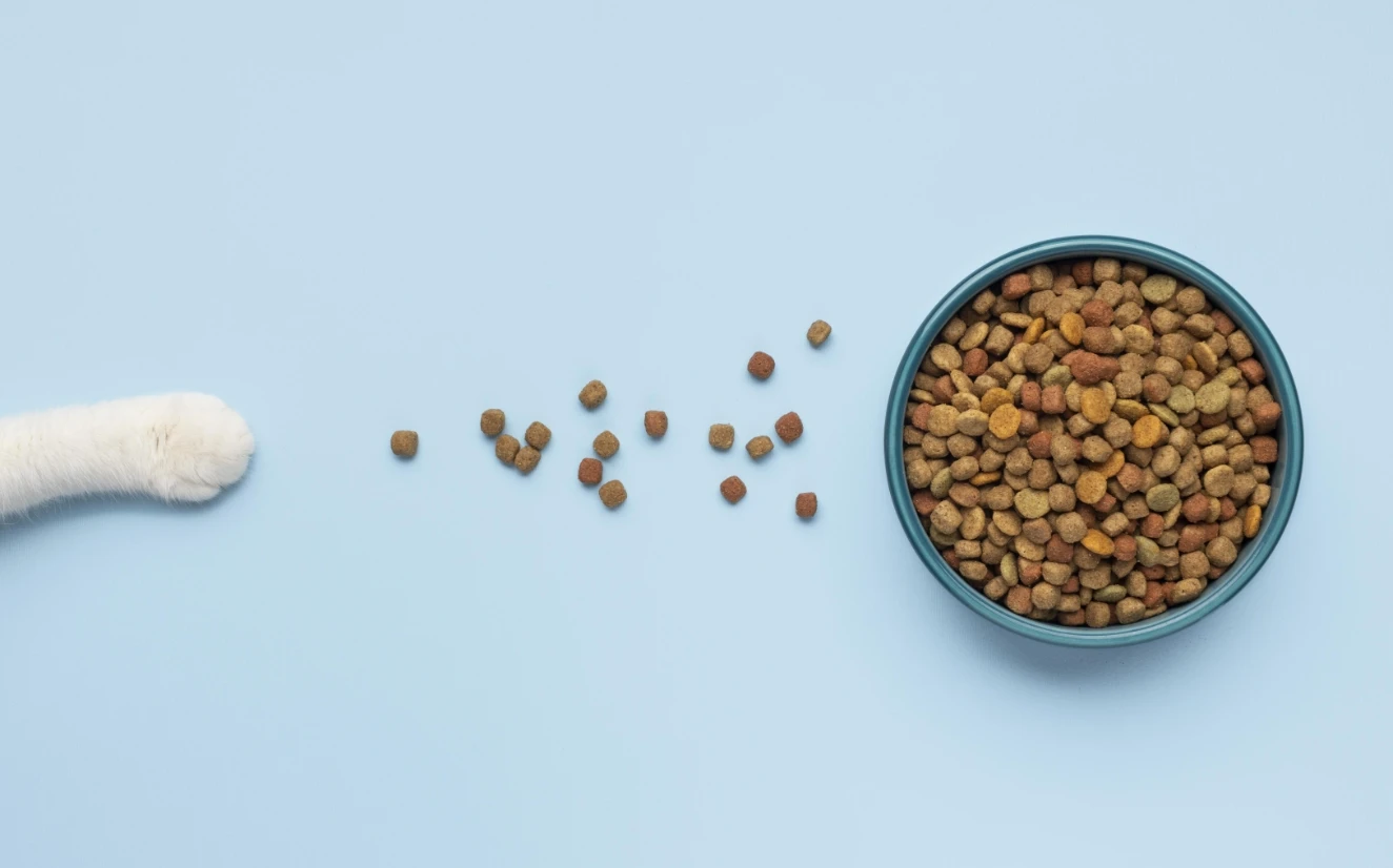 media_image-knjj9wk8y2-1324.webp media_image-knjj9wk8y2-1324.webp